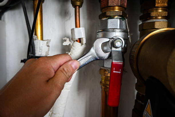 Best Leak Detection Services  in Belvidere, IL